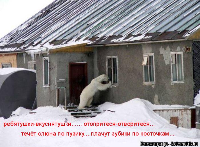 Котоматрица: ребятушки-вкуснятушки...... отопритеся-отворитеся... течёт слюна по пузику....плачут зубики по косточкам...