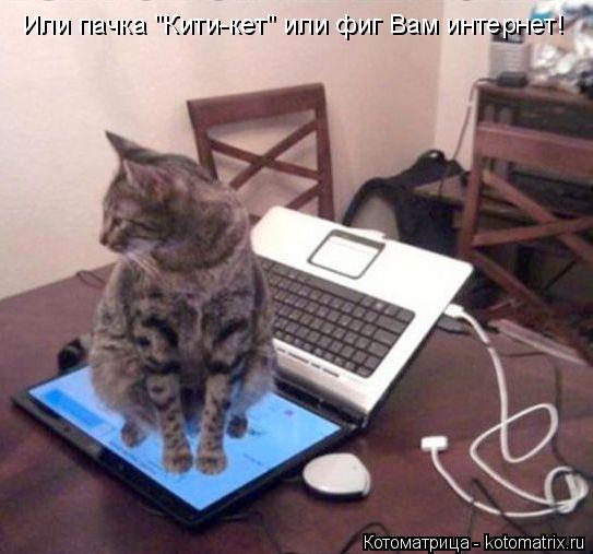 Или пачка "Кити-кет" или фиг Вам интернет!... Котоматрица: Или пачка "Кити-кет" или фиг Вам интернет!