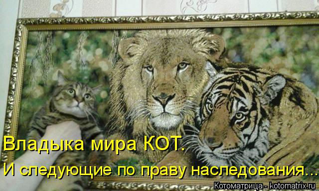 Владыка мира КОТ. И следующие по праву наследования...... Котоматрица: Владыка мира КОТ. И следующие по праву наследования...