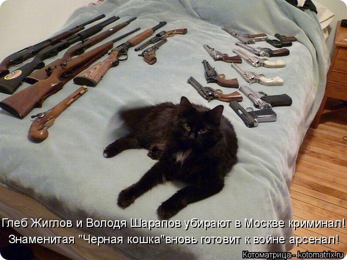Знаменитая "Черная кошка"вновь готовит к войне арсенал! Глеб Жиглов и Володя Шарапов убирают в Москве... Котоматрица: Знаменитая "Черная кошка"вновь готовит к войне арсенал! Глеб Жиглов и Володя Шарапов убирают в Москве криминал!