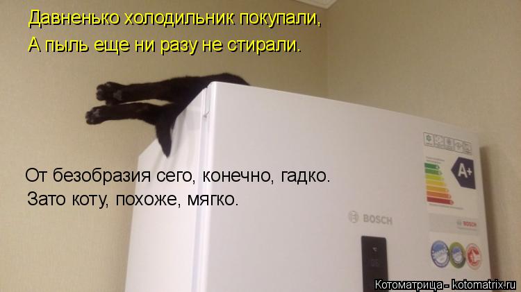 Давненько холодильник покупали, А пыль еще ни разу не стирали. От безобразия сего, конечно, гадко. За... Котоматрица: Давненько холодильник покупали, А пыль еще ни разу не стирали. От безобразия сего, конечно, гадко. Зато коту, похоже, мягко.
