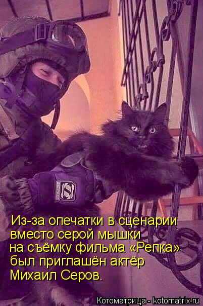 Из-за опечатки в сценарии вместо серой мышки на съёмку фильма «Репка» был приглашён актёр Михаил ... Котоматрица: Из-за опечатки в сценарии вместо серой мышки на съёмку фильма «Репка» был приглашён актёр Михаил Серов.