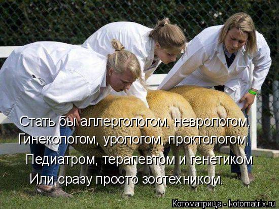 Котоматрица: Стать бы аллергологом, неврологом, Гинекологом, урологом, проктологом, Педиатром, терапевтом и генетиком Или сразу просто зоотехником.