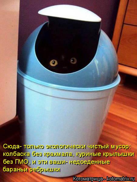 Котоматрица: Сюда- только экологически чистый мусор: колбаска без крахмала, куриные крылышки без ГМО, и эти ваши- недоеденные  бараньи ребрышки