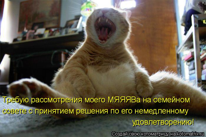 Котоматрица: Требую рассмотрения моего МЯЯЯВа на семейном совете с принятием решения по его немедленному удовлетворению!