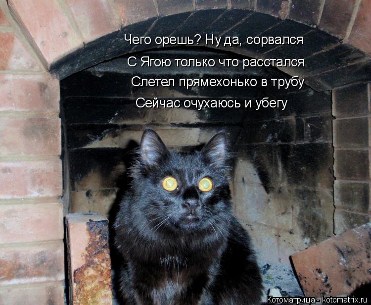 Котоматрица: Чего орешь? Ну да, сорвался С Ягою только что расстался Слетел прямехонько в трубу Сейчас очухаюсь и убегу