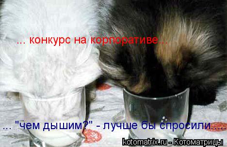 ... конкурс на корпоративе... ... "чем дышим?" - лучше бы спросили......... Котоматрица: ... конкурс на корпоративе... ... "чем дышим?" - лучше бы спросили......