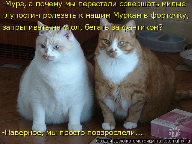 -Мурз, а почему мы перестали совершать милые глупости-пролезать к нашим Муркам в форточку, запрыгива... Котоматрица: -Мурз, а почему мы перестали совершать милые глупости-пролезать к нашим Муркам в форточку, запрыгивать на стол, бегать за фантиком? -Наверно