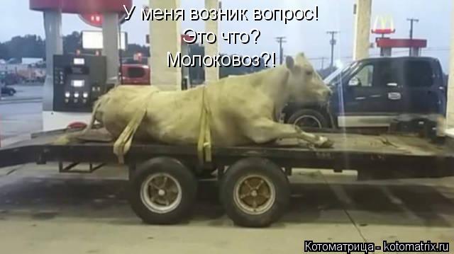 Котоматрица: Это что? Молоковоз?! У меня возник вопрос!