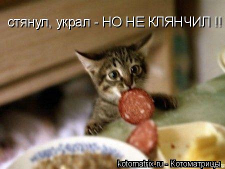 стянул, украл - НО НЕ КЛЯНЧИЛ !!... Котоматрица: стянул, украл - НО НЕ КЛЯНЧИЛ !!