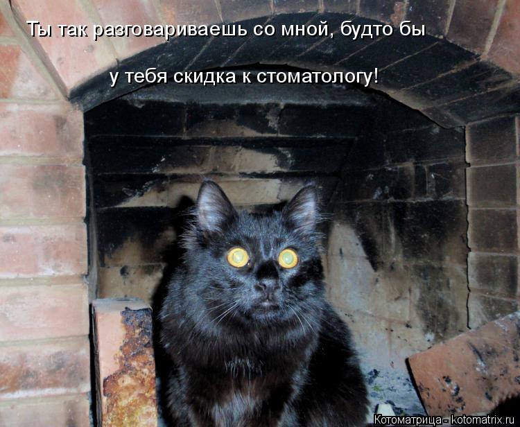Котоматрица: Ты так разговариваешь со мной, будто бы у тебя скидка к стоматологу!