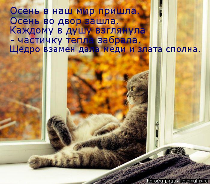 Котоматрица: Осень в наш мир пришла. Осень во двор зашла. Каждому в душу взглянула - частичку тепла забрала. Щедро взамен дала меди и злата сполна.