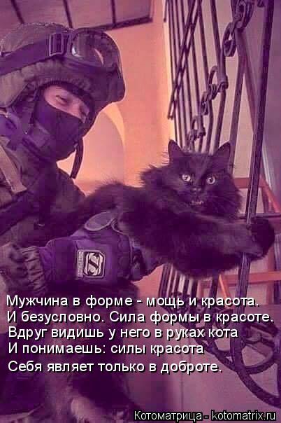 Котоматрица: Мужчина в форме - мощь и красота. И безусловно. Сила формы в красоте. Вдруг видишь у него в руках кота И понимаешь: силы красота Себя являет то