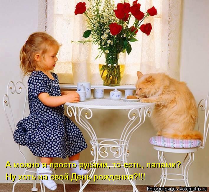 Котоматрица: А можно я просто руками, то есть, лапами? Ну хоть на свой День рождения?!!!