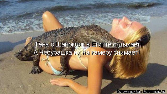 Котоматрица: Гена с Шапокляк в Египте отдыхает! А Чебурашка их на камеру снимает!