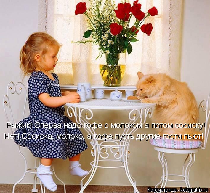 Котоматрица: Рыжик! Сперва надо кофе с молоком а потом сосиску! Нет! Сосиска,.молоко, а кофе пусть другие гости пьют!