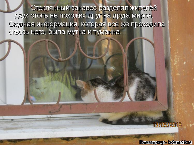 Котоматрица: Стеклянный занавес разделял жителей  двух столь не похожих друг на друга миров.  Скудная информация, которая всё же проходила  сквозь него, 