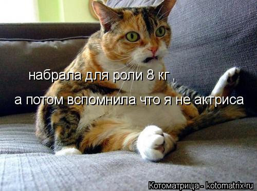Котоматрица: набрала для роли 8 кг , а потом вспомнила что я не актриса
