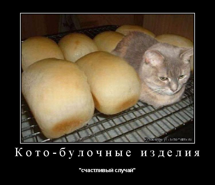 Котоматрица: Кото-булочные изделия "счастливый случай"