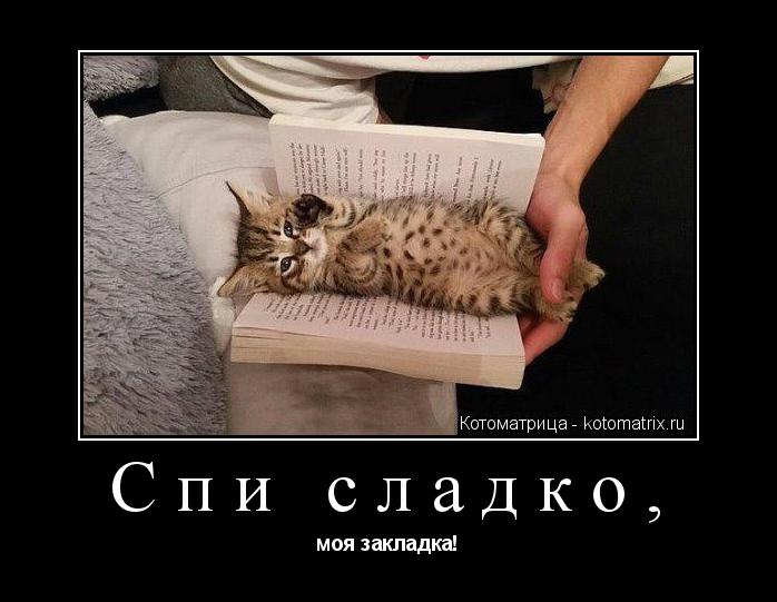 Котоматрица: Спи сладко, моя закладка!