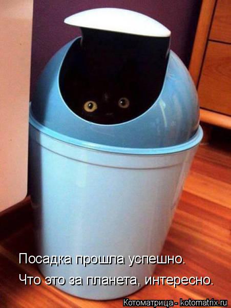 Котоматрица: Посадка прошла успешно. Что это за планета, интересно.