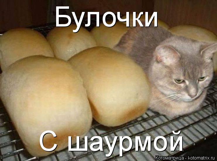 Котоматрица: Булочки С шаурмой