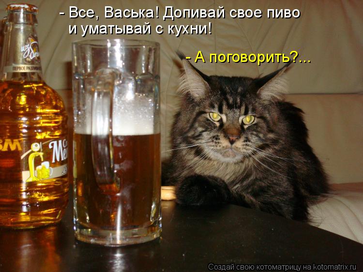 Котоматрица: - Все, Васька! Допивай свое пиво  и уматывай с кухни! - А поговорить?...