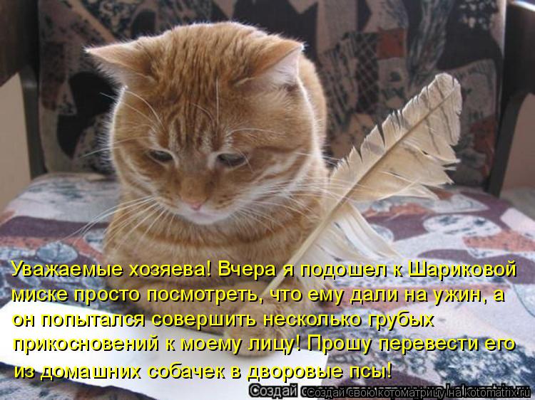 Уважаемые хозяева! Вчера я подошел к Шариковой миске просто посмотреть, что ему дали на ужин, а он по... Котоматрица: Уважаемые хозяева! Вчера я подошел к Шариковой миске просто посмотреть, что ему дали на ужин, а он попытался совершить несколько грубых при