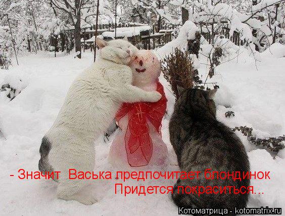 Котоматрица: - Значит  Васька предпочитает блондинок Придется покраситься...