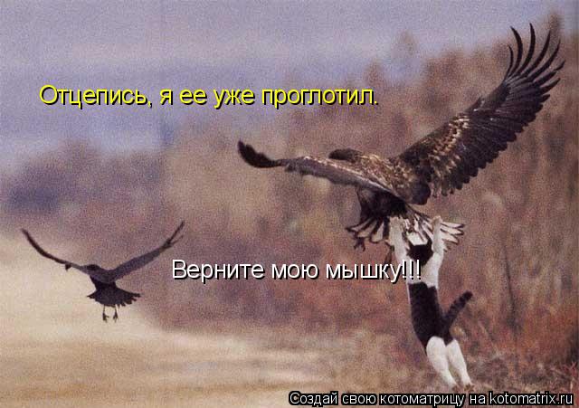 Котоматрица: Верните мою мышку!!! Отцепись, я ее уже проглотил.