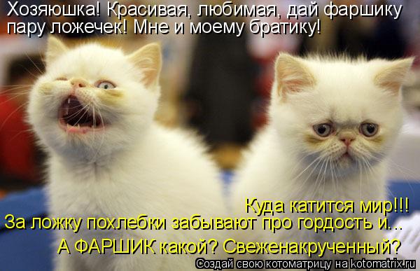 Котоматрица: Хозяюшка! Красивая, любимая, дай фаршику пару ложечек! Мне и моему братику! Куда катится мир!!! А ФАРШИК какой? Свеженакрученный? За ложку пох