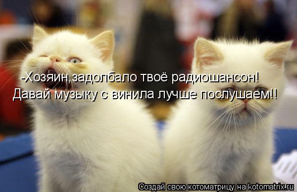 Котоматрица: -Хозяин,задолбало твоё радиошансон! Давай музыку с винила лучше послушаем!!