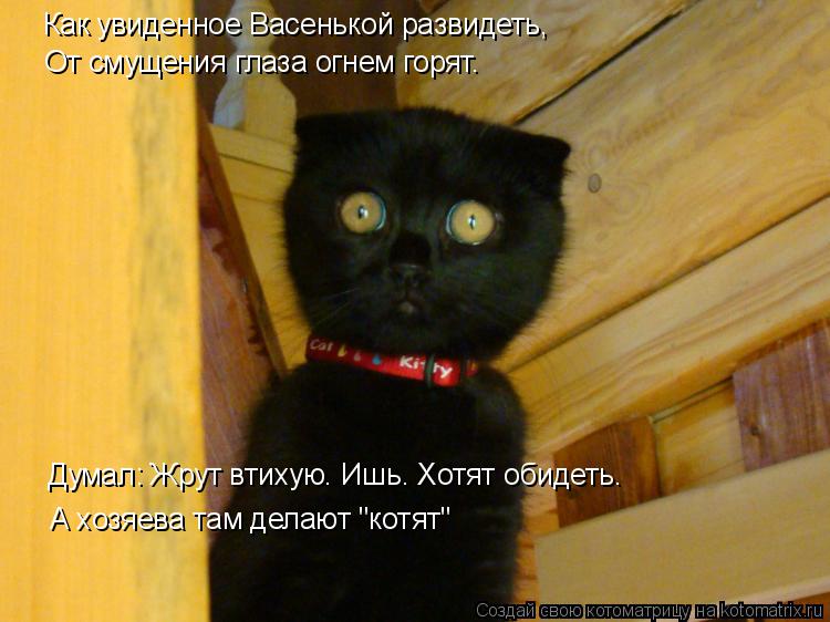 Как увиденное Васенькой развидеть, От смущения глаза огнем горят. Думал: Жрут втихую. Ишь. Хотят обид... Котоматрица: Как увиденное Васенькой развидеть, От смущения глаза огнем горят. Думал: Жрут втихую. Ишь. Хотят обидеть. А хозяева там делают "котят"