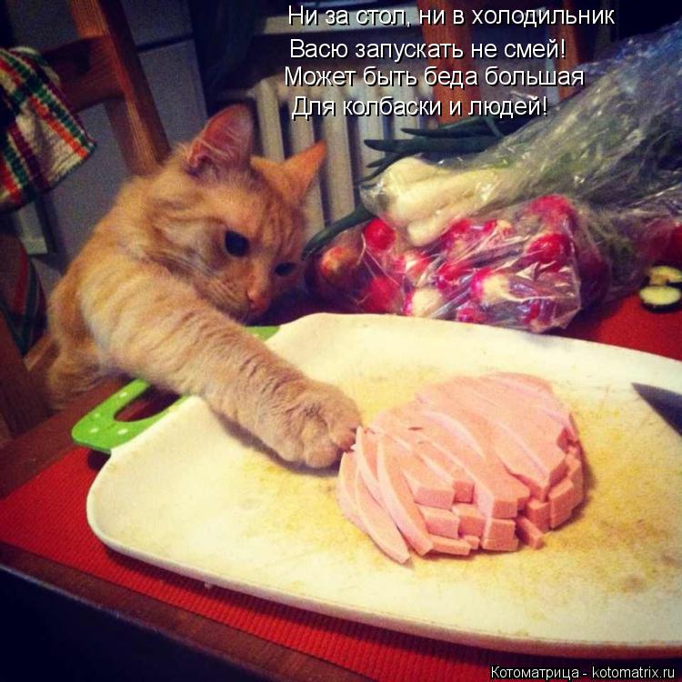 Котоматрица: Ни за стол, ни в холодильник Васю запускать не смей! Может быть беда большая  Для колбаски и людей!