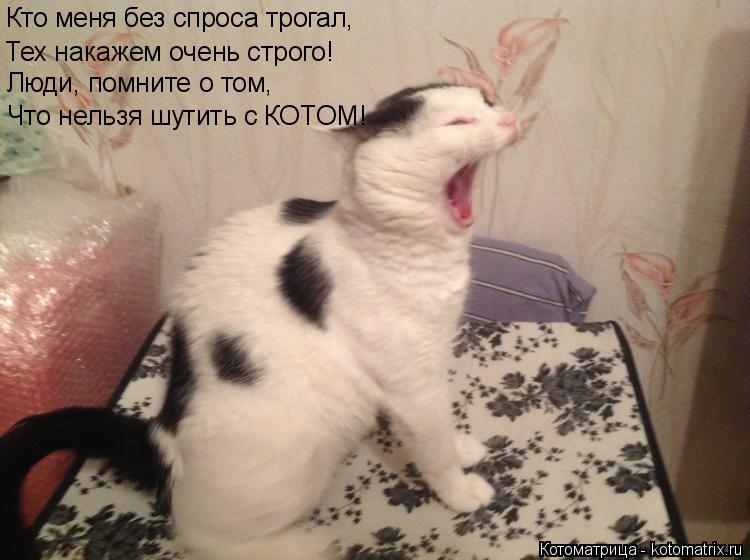 Котоматрица: Кто меня без спроса трогал, Тех накажем очень строго! Люди, помните о том, Что нельзя шутить с КОТОМ!