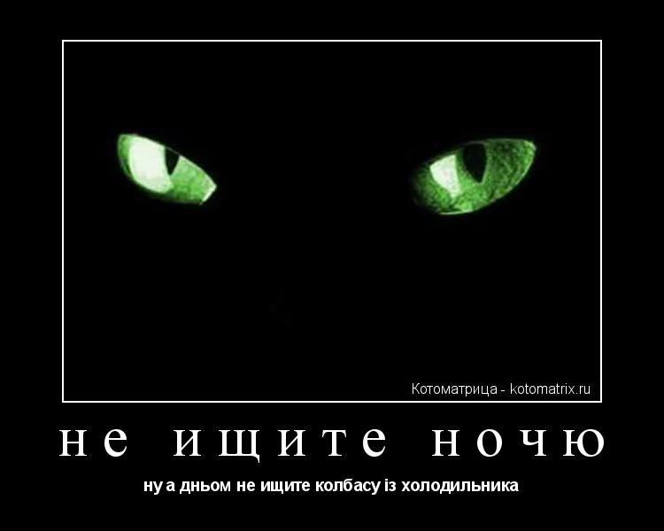 Котоматрица: не ищите ночю ну а дньом не ищите колбасу із холодильника