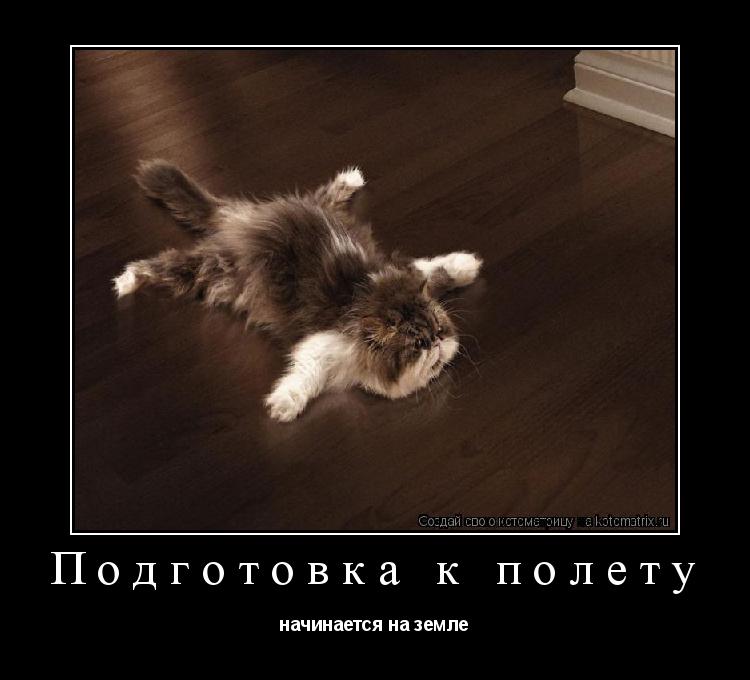 Подготовка к полету начинается на земле... Котоматрица: Подготовка к полету начинается на земле