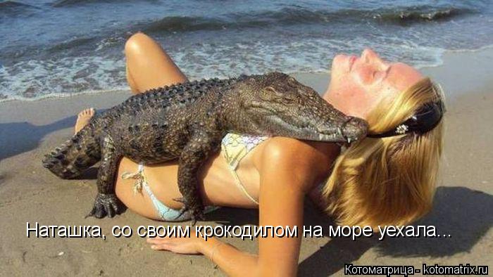 Котоматрица: Наташка, со своим крокодилом на море уехала...