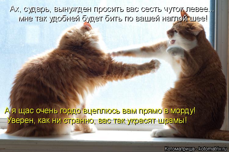 Ах, сударь, вынужден просить вас сесть чуток левее... мне так удобней будет бить по вашей наглой шее!... Котоматрица: Ах, сударь, вынужден просить вас сесть чуток левее... мне так удобней будет бить по вашей наглой шее! А я щас очень гордо вцеплюсь вам прямо в