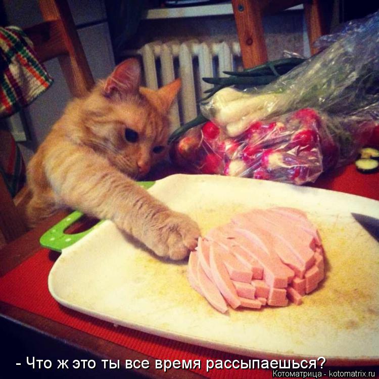 - Что ж это ты все время рассыпаешься?... Котоматрица: - Что ж это ты все время рассыпаешься?