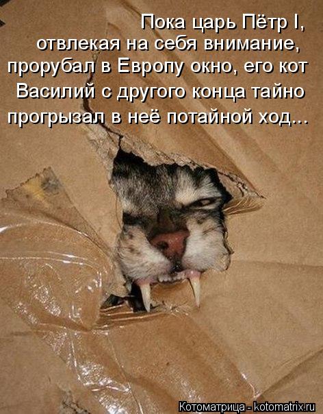 Пока царь Пётр I, отвлекая на себя внимание, прорубал в Европу окно, его кот Василий с другого конц... Котоматрица: Пока царь Пётр I, отвлекая на себя внимание, прорубал в Европу окно, его кот Василий с другого конца тайно прогрызал в неё потайной ход...
