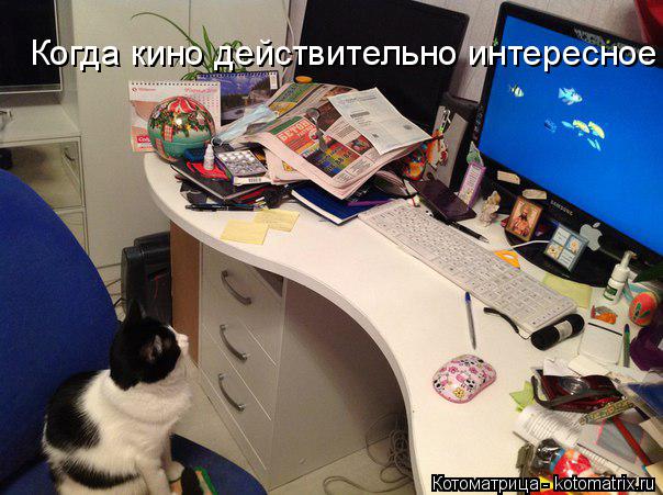 Котоматрица: Когда кино действительно интересное