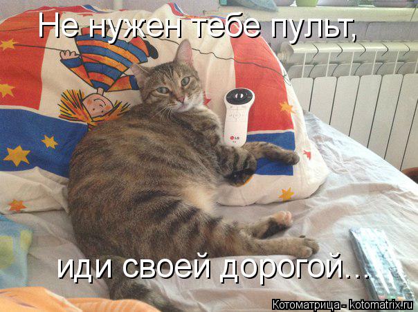 Котоматрица: Не нужен тебе пульт, иди своей дорогой...