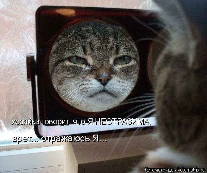 Котоматрица: хозяйка говорит, что Я НЕОТРАЗИМА, врет... отражаюсь Я...