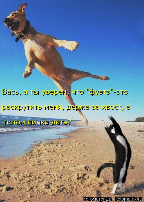 потом пинка дать? раскрутить меня, держа за хвост, а Вась, а ты уверен, что "фуэтэ"-это... Котоматрица: потом пинка дать? раскрутить меня, держа за хвост, а Вась, а ты уверен, что "фуэтэ"-это