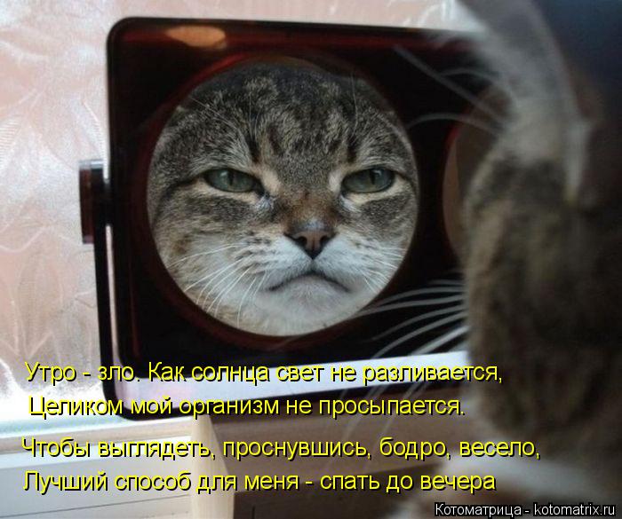 Чтобы выглядеть, проснувшись, бодро, весело, Лучший способ для меня - спать до вечера Утро - зло. Как... Котоматрица: Чтобы выглядеть, проснувшись, бодро, весело, Лучший способ для меня - спать до вечера Утро - зло. Как солнца свет не разливается, Целиком мой о