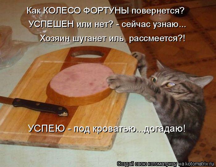 Как КОЛЕСО ФОРТУНЫ повернется? УСПЕШЕН или нет? - сейчас узнаю... Хозяин шуганет иль рассмеется?! УС... Котоматрица: Как КОЛЕСО ФОРТУНЫ повернется? УСПЕШЕН или нет? - сейчас узнаю... Хозяин шуганет иль рассмеется?! УСПЕЮ - под кроватью...догадаю!