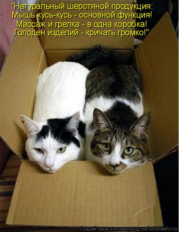 Котоматрица: "Натуральный шерстяной продукция: Мышь кусь-кусь - основной функция! Массаж и грелка - в одна коробка! Голоден изделий - кричать громко!"