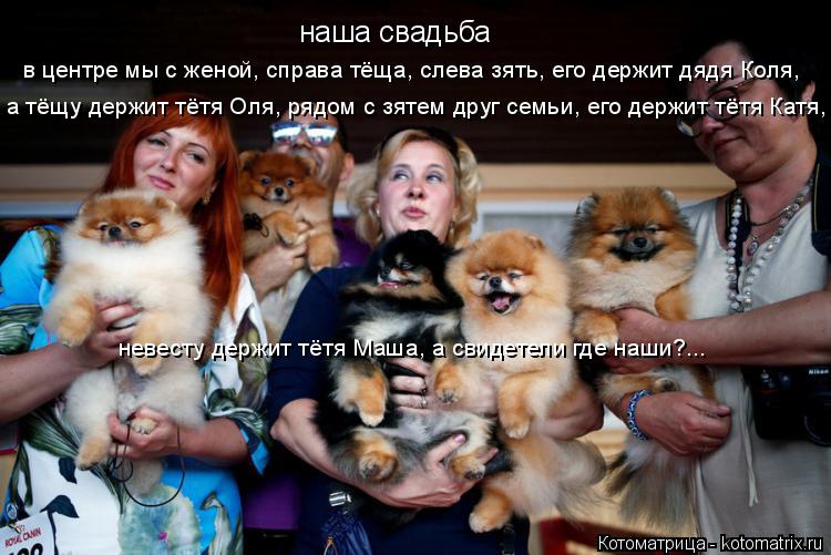 наша свадьба в центре мы с женой, справа тёща, слева зять, его держит дядя Коля, а тёщу держит тётя О... Котоматрица: наша свадьба в центре мы с женой, справа тёща, слева зять, его держит дядя Коля, а тёщу держит тётя Оля, рядом с зятем друг семьи, его держит тё