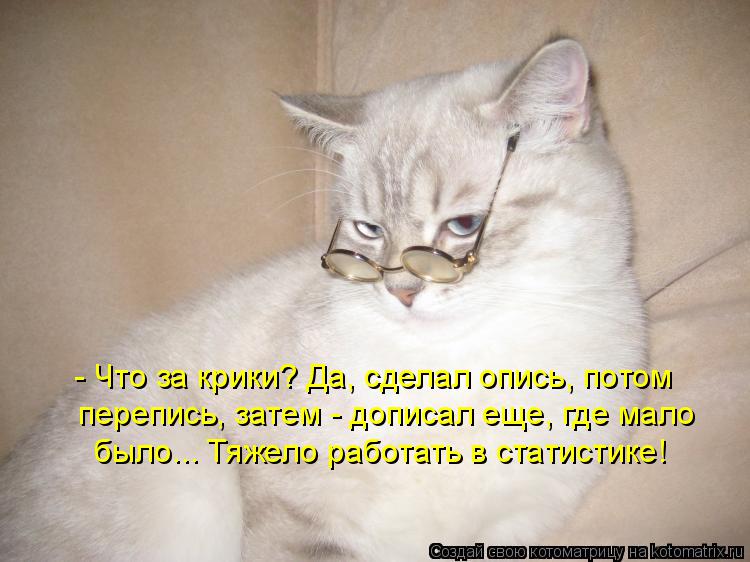 Котоматрица: - Что за крики? Да, сделал опись, потом перепись, затем - дописал еще, где мало было... Тяжело работать в статистике!